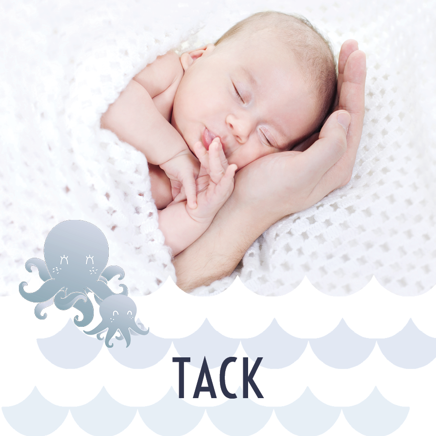 Tack — Söt bläckfisk