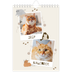 Fotokalender A5 Enkel — Lekfull kattunge [omslag]
