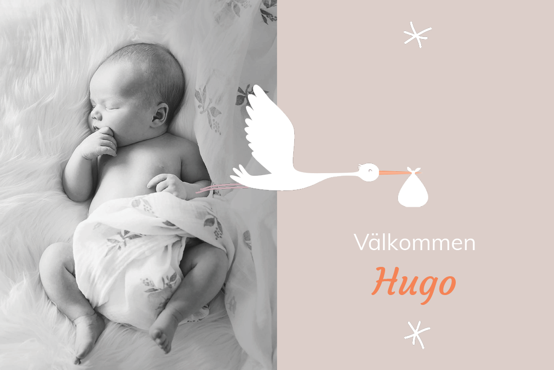 Inbjudningar — Min vän storken