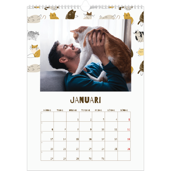 Fotokalender A3 Enkel — Lekfull kattunge