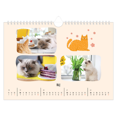 Fotokalender A4 Enkel — Kattassistentar och klotter [omslag]