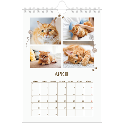 Fotokalender A5 Enkel — Lekfull kattunge [April]
