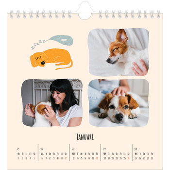 Fotokalender Kvadratisk — Hundtassar och klotter