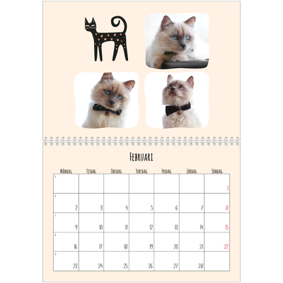 Fotokalender A3 Klassisk (30 x 40 cm) — Kattassistentar och klotter [Februari]