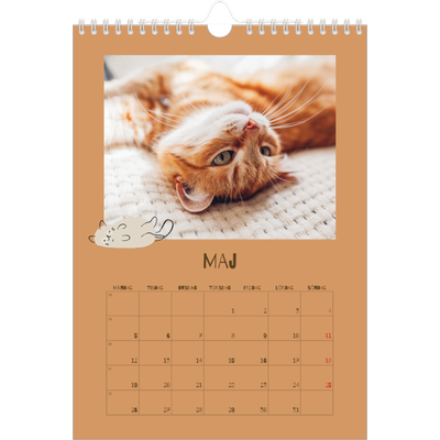 Fotokalender A4 Enkel (20 x 30 cm) — Lekfull kattunge [omslag]
