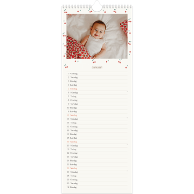 Fotokalender Smal  — Körsbärslycka [Januari]