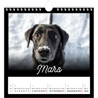 Årskalender kvadratisk — Svart [Mars]
