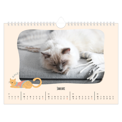 Fotokalender A4 Enkel — Kattassistentar och klotter [Januari]
