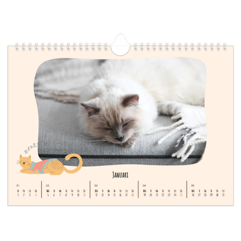 Fotokalender A4 Enkel — Kattassistentar och klotter