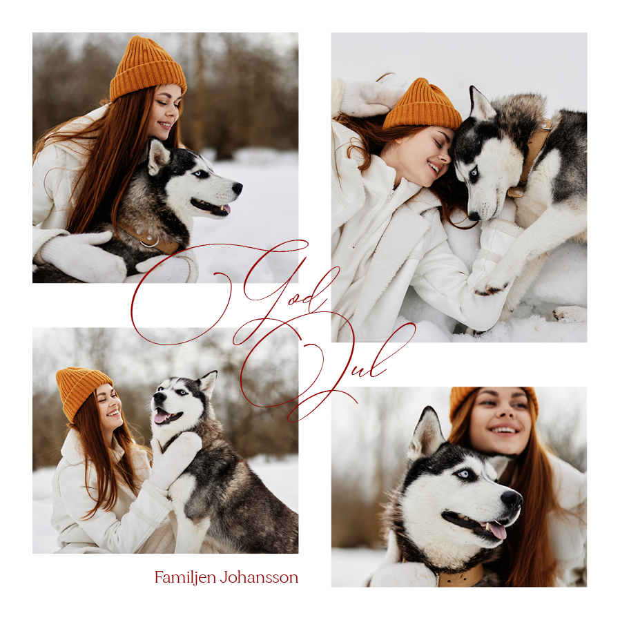 Fotokort — Snöiga viskningar