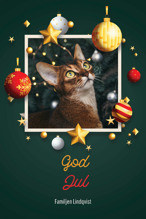 Fotokort — Juläventyr