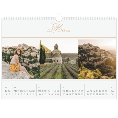 Fotokalender A3 Enkel — Elegant guld [Mars]