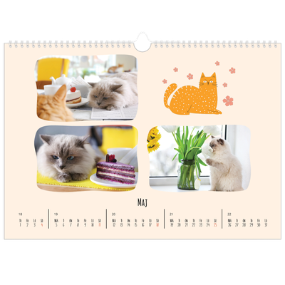 Fotokalender A3 Enkel — Kattassistentar och klotter [omslag]