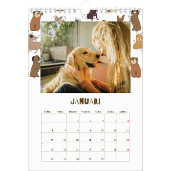 Fotokalender A4 Enkel — Lekfull valp