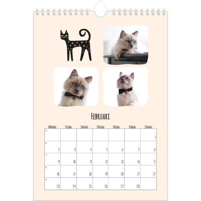 Fotokalender A4 Enkel (20 x 30 cm) — Kattassistentar och klotter [Februari]