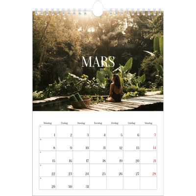 Fotokalender A4 Enkel (20 x 30 cm) — Oändlig flykt [Mars]