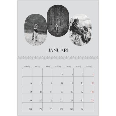 Fotokalender A3 Klassisk (30 x 40 cm) — Den öppna vägen [Januari]