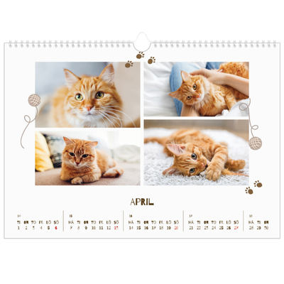 Fotokalender A3 Enkel — Lekfull kattunge [April]