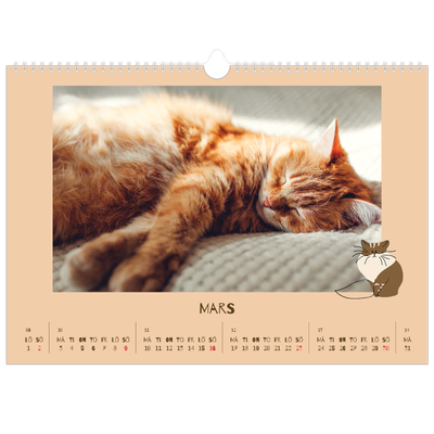 Fotokalender A3 Enkel — Lekfull kattunge [Mars]