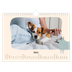 Fotokalender A4 Enkel — Hundtassar och klotter [Februari]