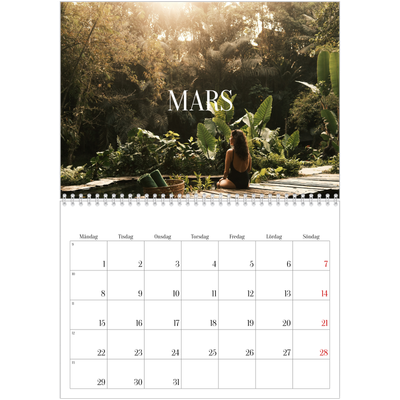 Fotokalender A3 Klassisk (30 x 40 cm) — Oändlig flykt [Mars]