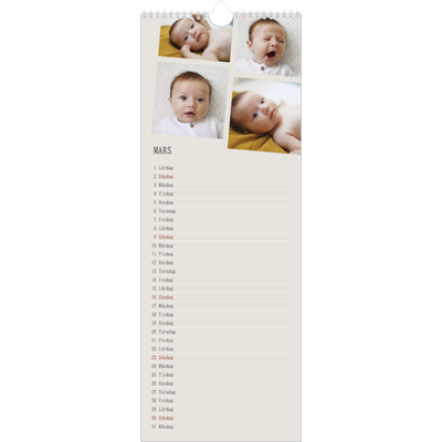 Fotokalender Smal  — Dynamiska bilder [Mars]