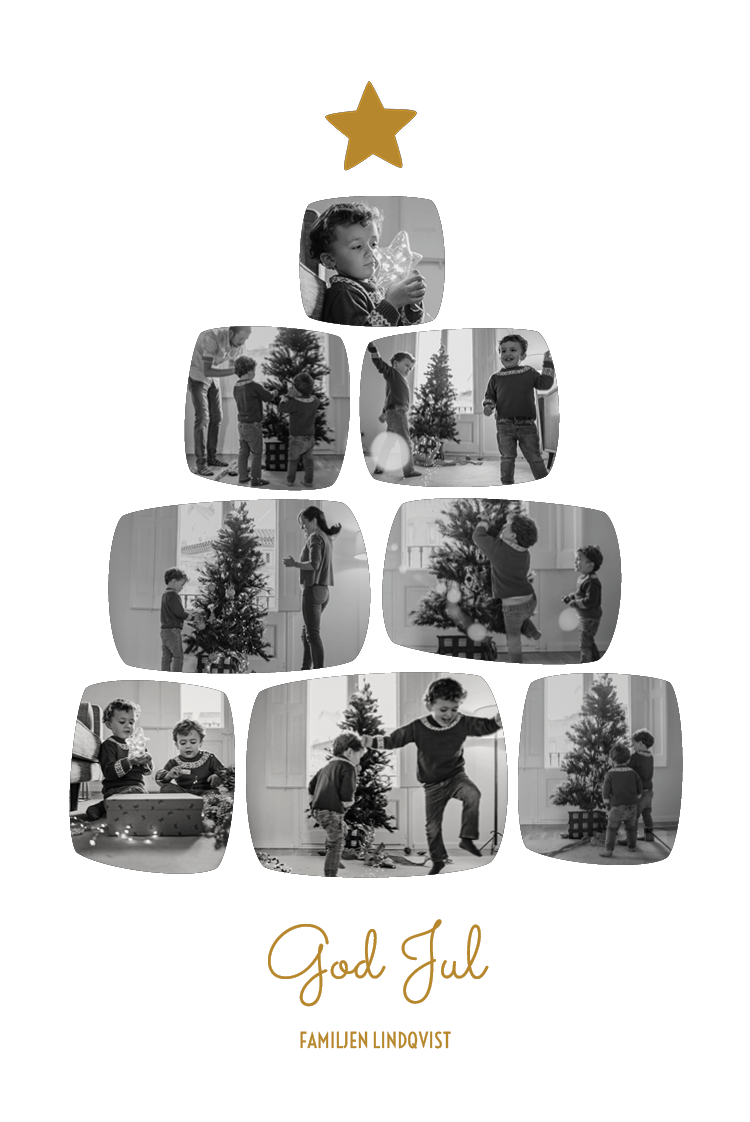 Fotokort — Minnesträd - vit