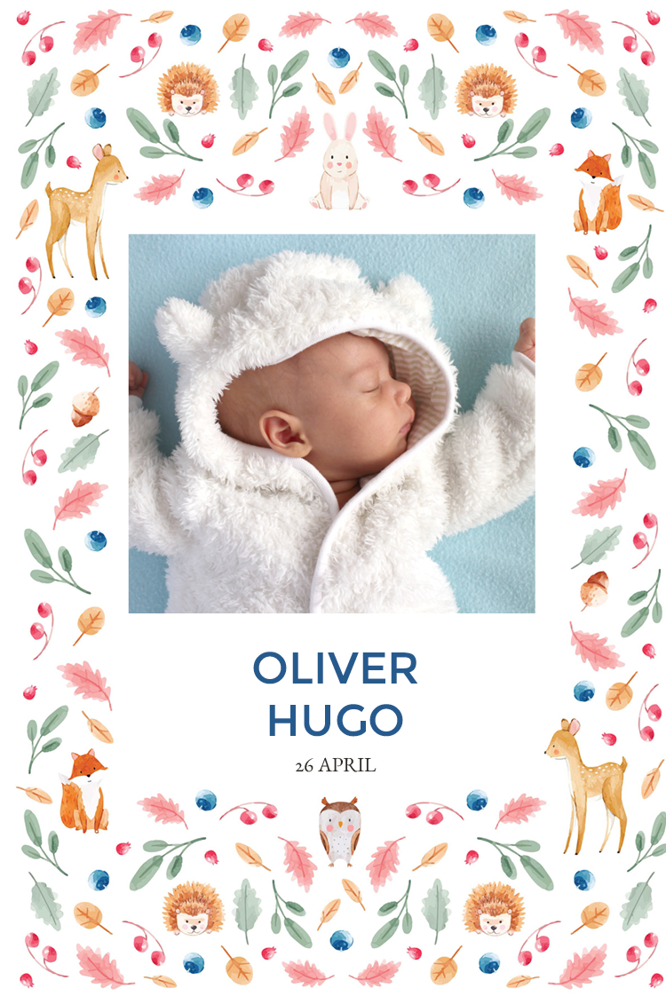 Inbjudningar — Skogsdjur tapeter