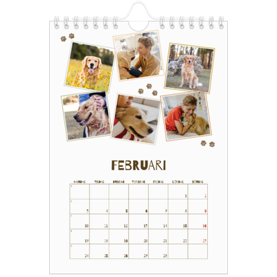 Fotokalender A5 Enkel — Lekfull valp [Februari]