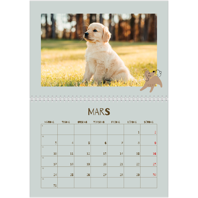 Fotokalender A3 Klassisk (30 x 40 cm) — Lekfull valp [Mars]