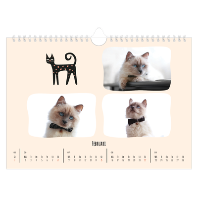 Fotokalender A4 Enkel — Kattassistentar och klotter [Februari]