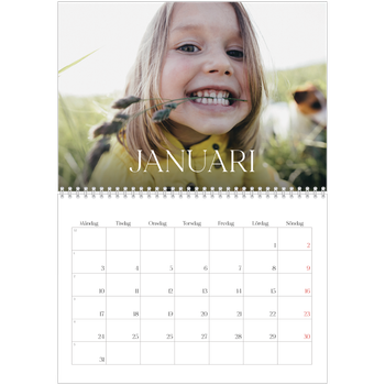Fotokalender A3 Klassisk — Tolv stora månader