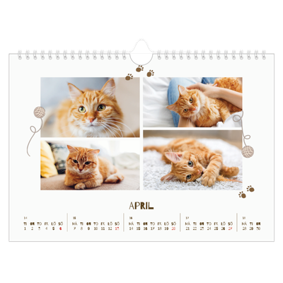 Fotokalender A4 Enkel — Lekfull kattunge [April]