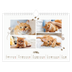 Fotokalender A4 Enkel — Lekfull kattunge [April]