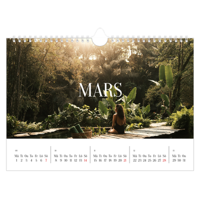 Fotokalender A4 Enkel — Oändlig flykt [Mars]