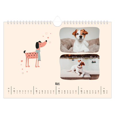 Fotokalender A4 Enkel — Hundtassar och klotter [Mars]