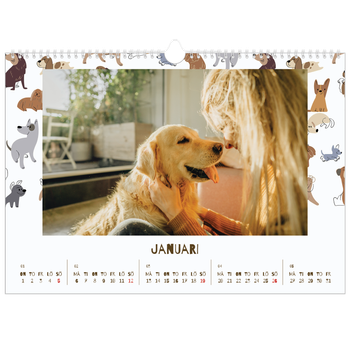 Fotokalender A3 Enkel — Lekfull valp