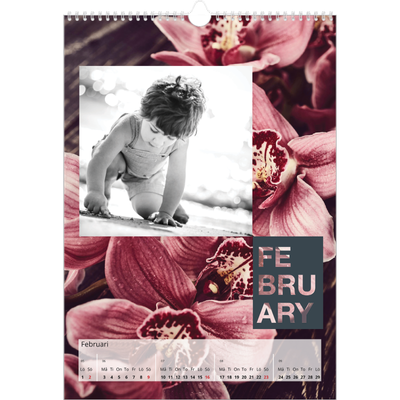 A3 Årskalender — Månadsfält [Februari]