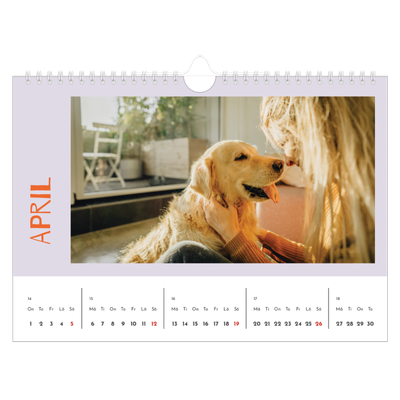 Fotokalender A4 Enkel — Färgglad kalender [April]