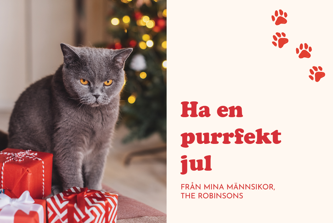 Fotokort — Purrfekta hälsningar