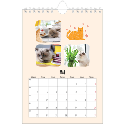 Fotokalender A5 Enkel — Kattassistentar och klotter [omslag]