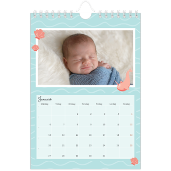 Fotokalender A5 Enkel — Söta djur