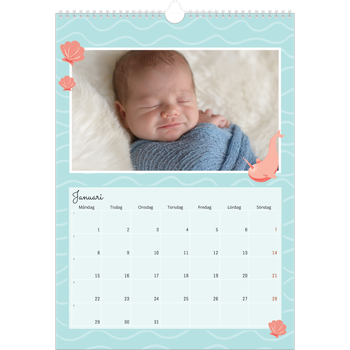 Fotokalender A3 Enkel — Söta djur