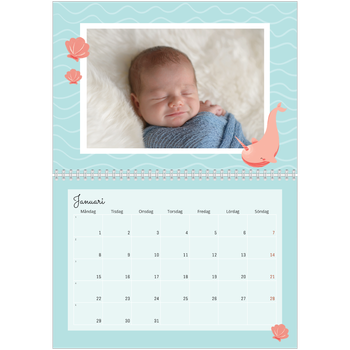 Fotokalender A3 Klassisk — Söta djur