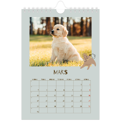 Fotokalender A5 Enkel — Lekfull valp [Mars]