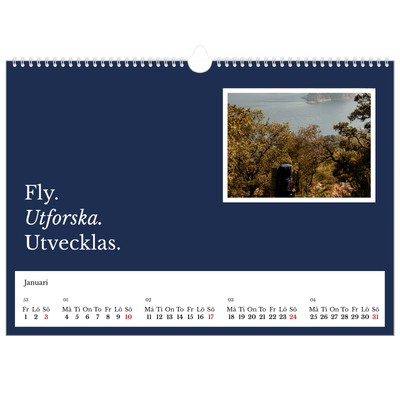 Fotokalender A3 Enkel — Redaktionell Jord [Januari]