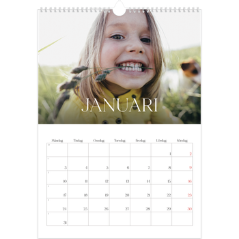 Fotokalender A3 Enkel — Tolv stora månader