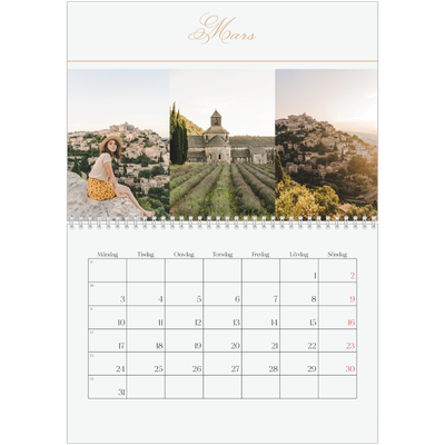 Fotokalender A3 Klassisk (30 x 40 cm) — Elegant guld [Mars]