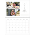 Fotokalender A3 Klassisk (30 x 40 cm) — Enkel botanisk [Februari]