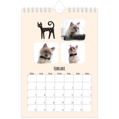 Fotokalender A5 Enkel — Kattassistentar och klotter [Februari]